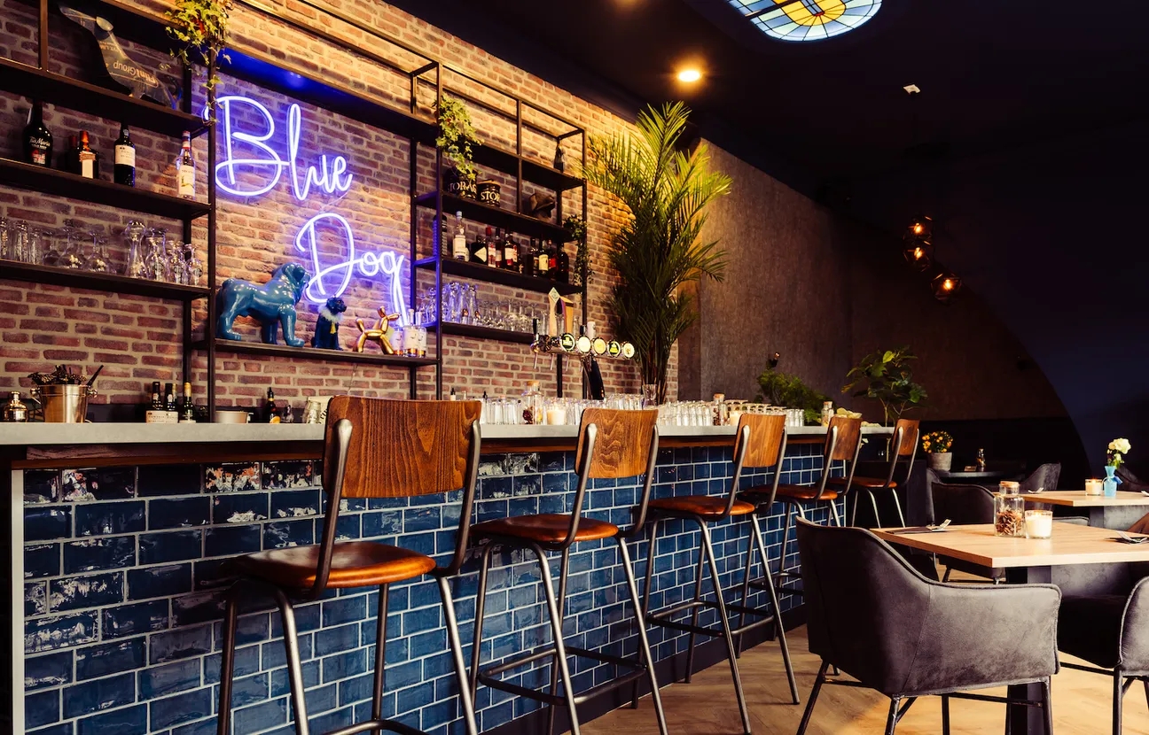 Bar with chairs and purple neon letters Blue Dog against the back wall.