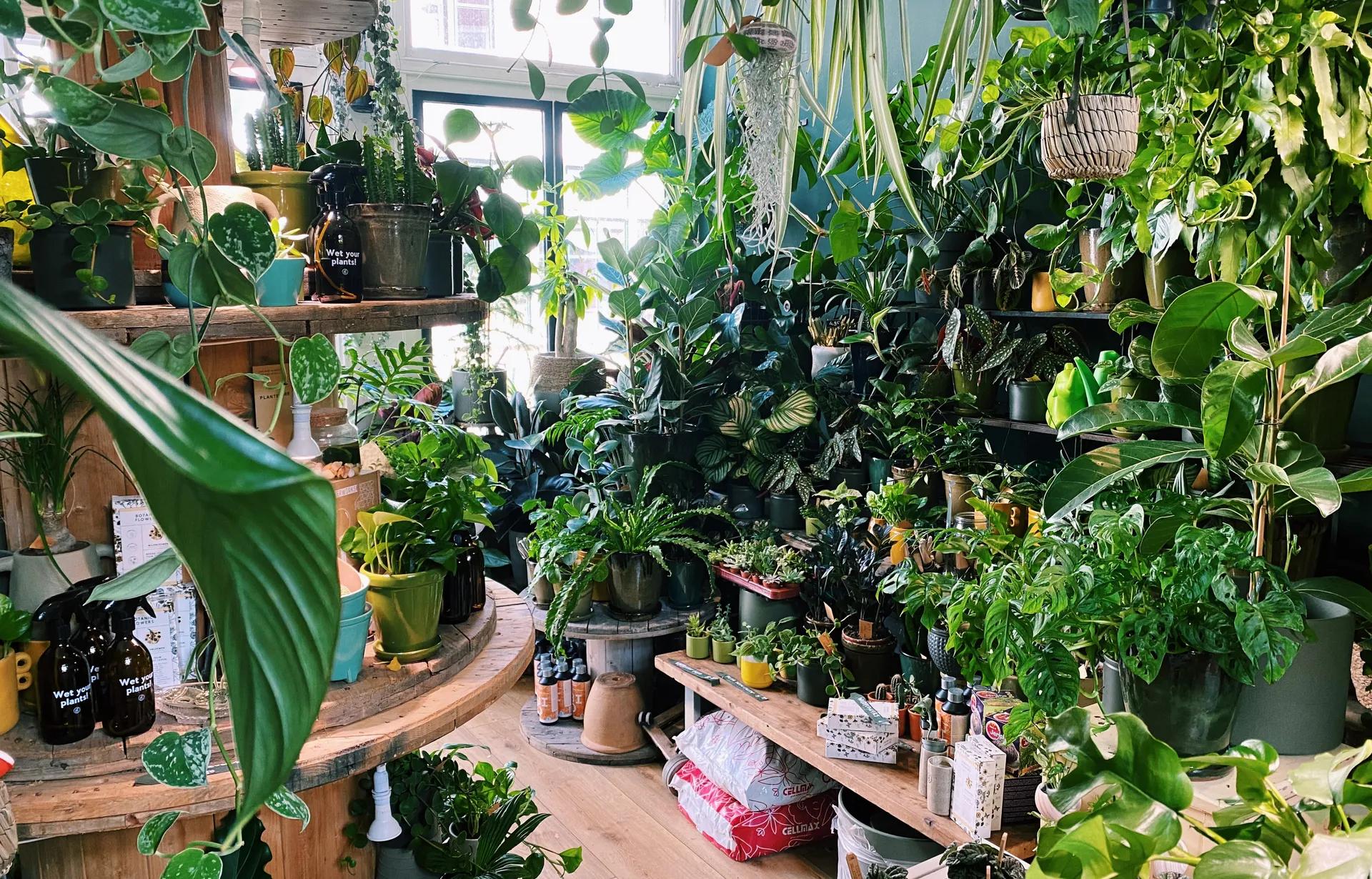The Green Submarine, een winkel vol met planten